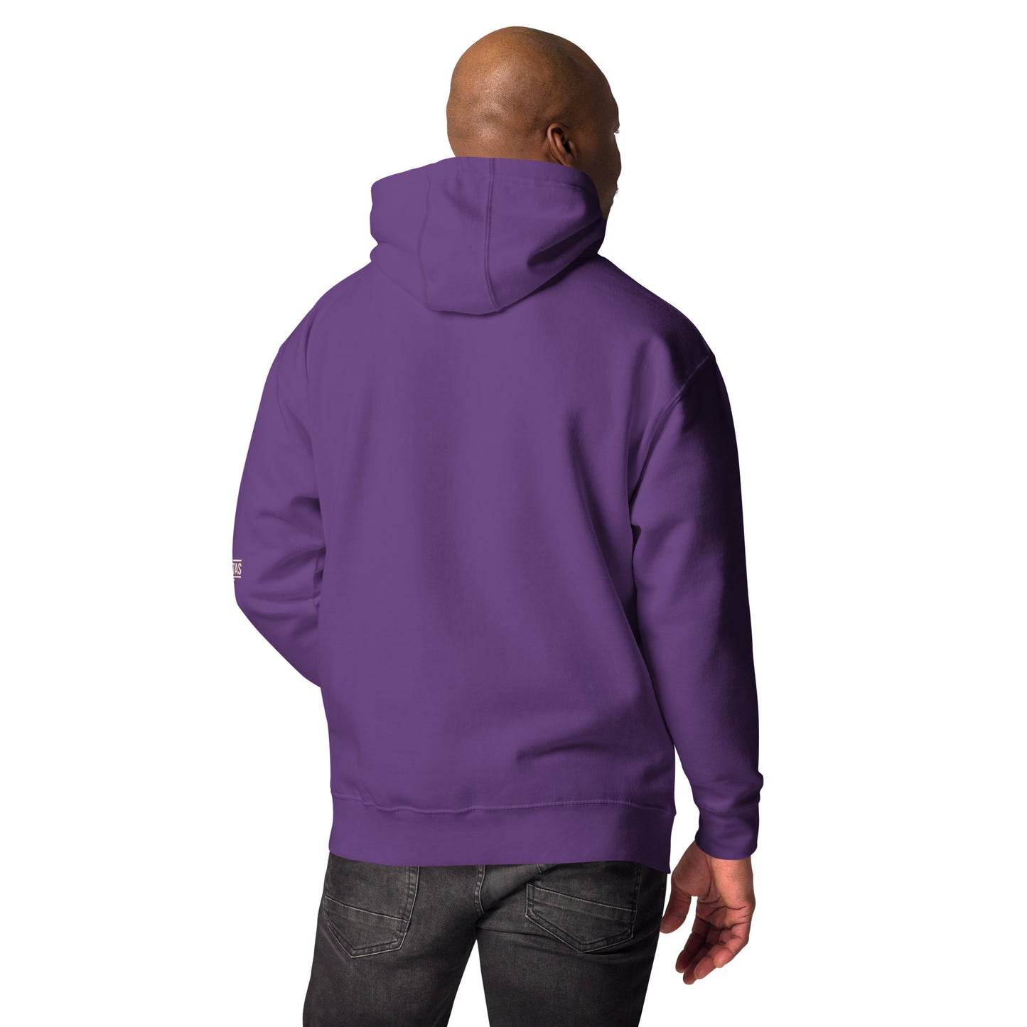 FABTAS Lazy Day Men's Hoodie